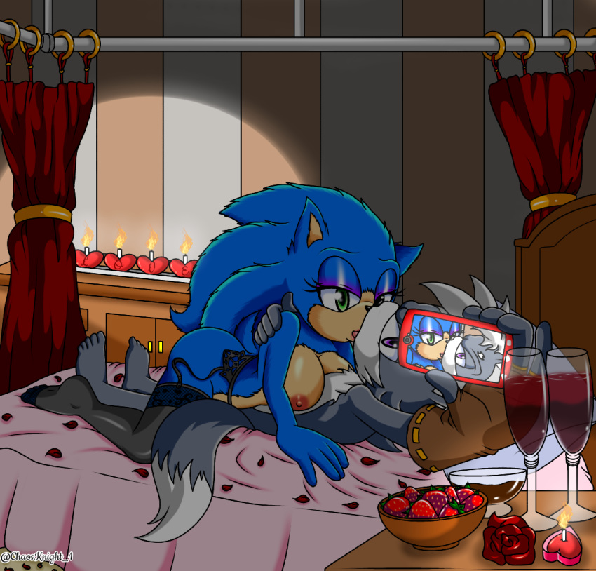 the blaze cat hedgehog kissing and the silver Pictures of bonnie five nights at freddy's